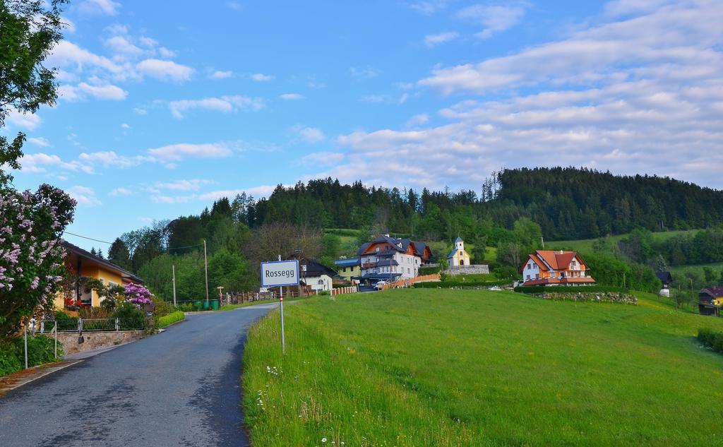 Ferienwohnungen Perhofer Birkfeld Extérieur photo