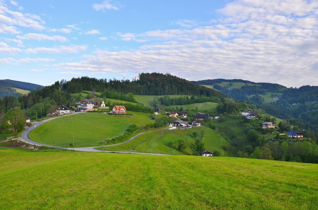 Ferienwohnungen Perhofer Birkfeld Extérieur photo
